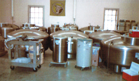 Semen Storage